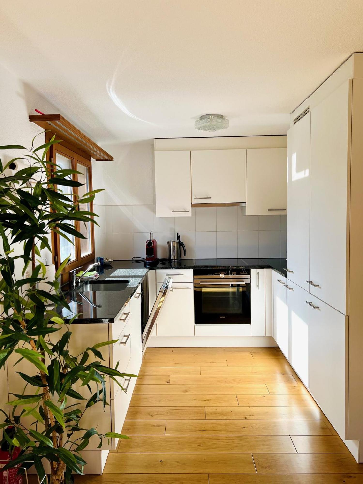 Maisonette 4.5 Zimmer, Naehe Ballenberg Hofstetten bei Brienz Exterior foto